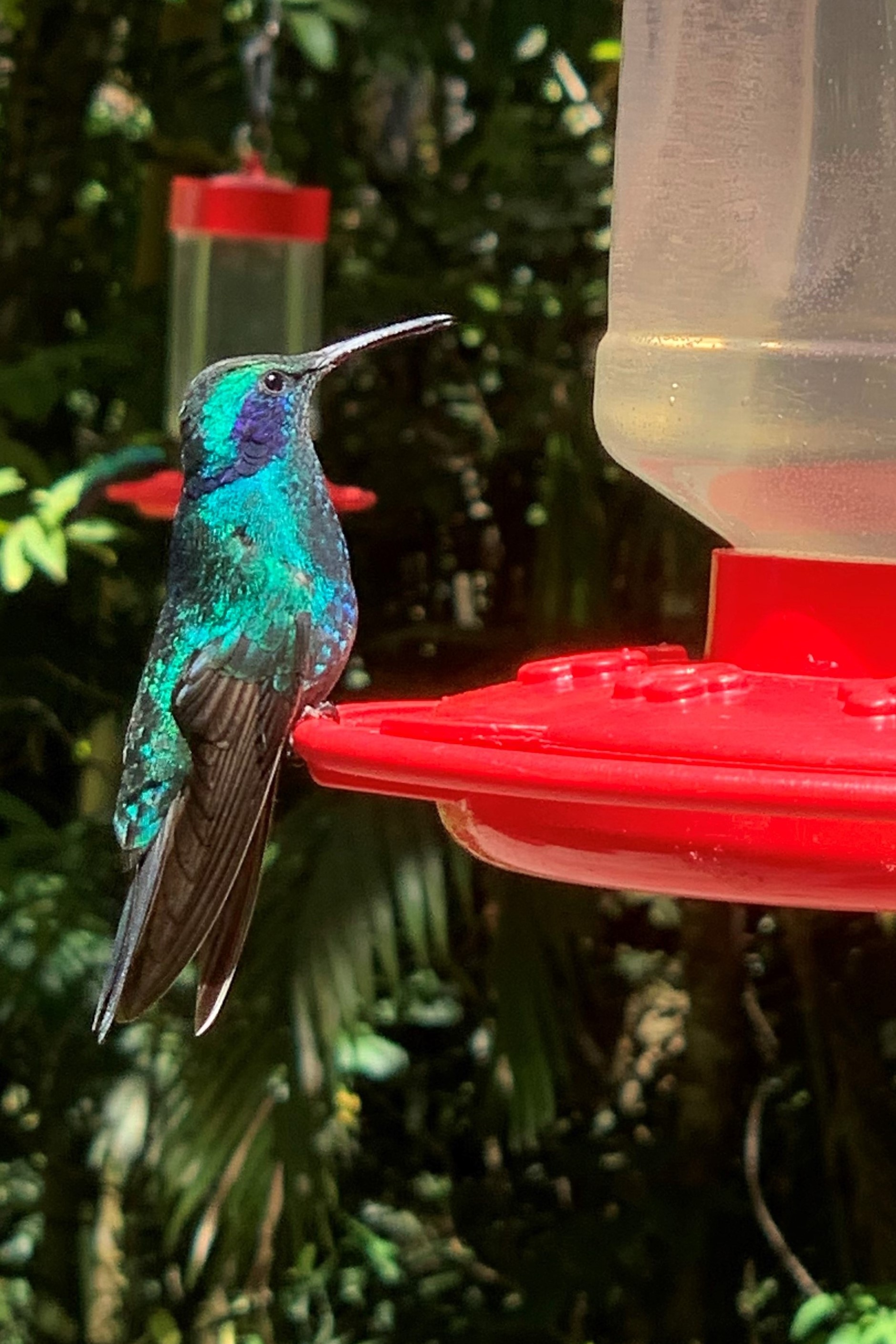 Costa Rica